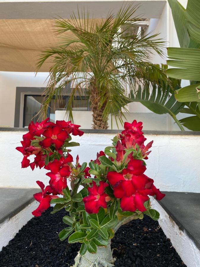 Casa Delfin Playa Blancaヴィラ エクステリア 写真